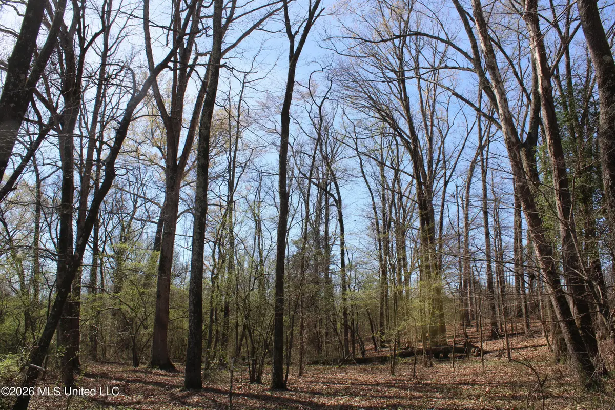 7 Barton Desoto Road, Olive Branch, MS 38654 - #1