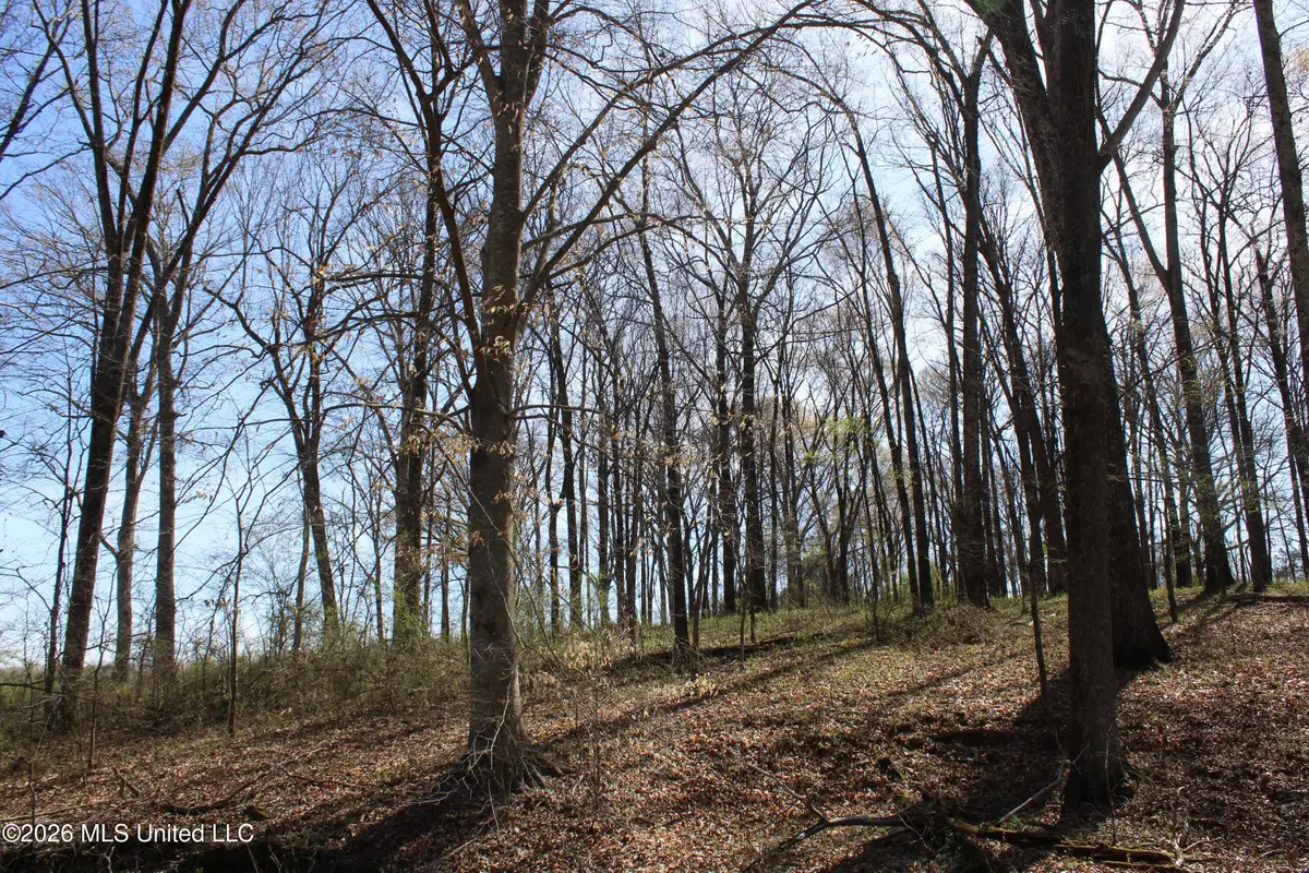 9 Barton Desoto Road, Olive Branch, MS 38654 - #1