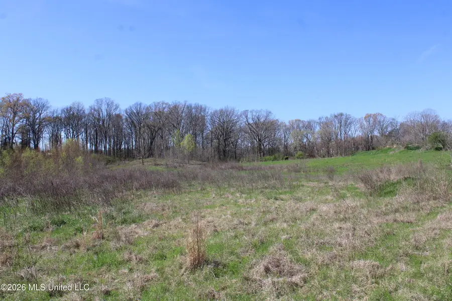 11 Barton Desoto Road, Olive Branch, MS 38654 - #3