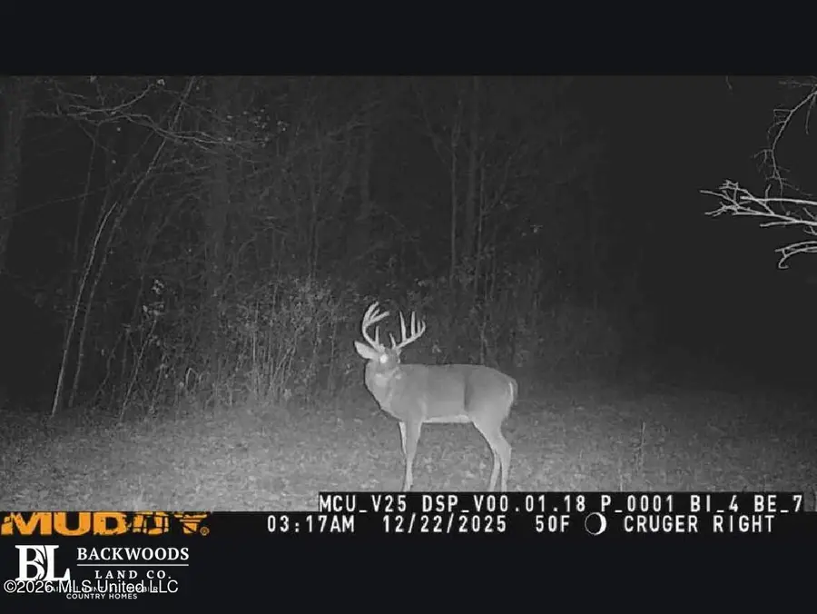 00 Philips Road, Cruger, MS 38924 - #2