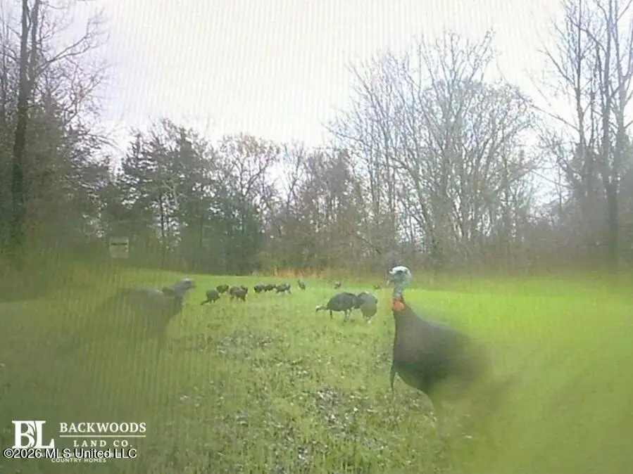 00 Philips Road, Cruger, MS 38924 - #3