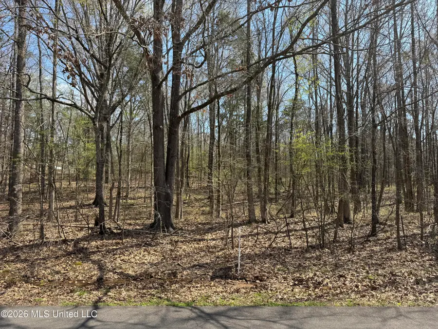 0 Steele Road, Hernando, MS 38632 - #2
