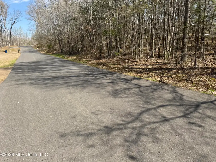 0 Steele Road, Hernando, MS 38632 - #3
