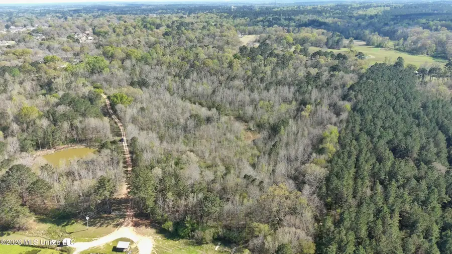 Wells Street, Wesson, MS 39191 - #2