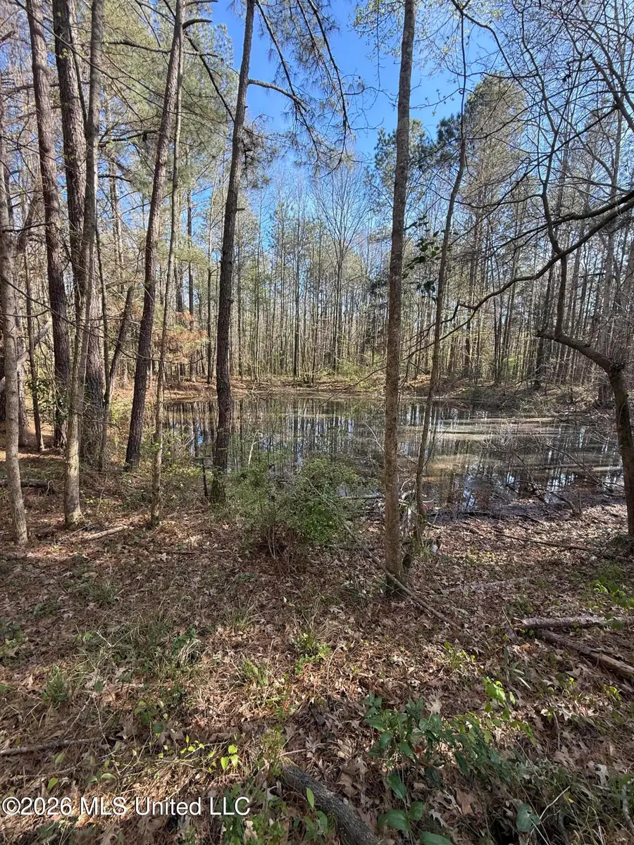 0 Ms-13, Lena, MS 39094 - #2