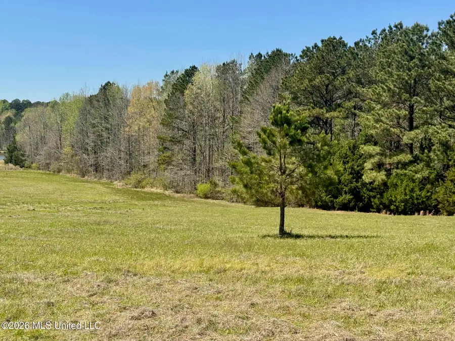 735 Cedar Hill Road, Flora, MS 39071 - #2