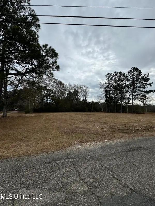 George Mitchell Road, Carriere, MS 39426