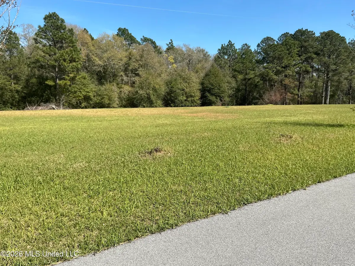 Southern Hills Drive, Lucedale, MS 39452 - #1