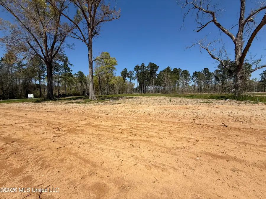 Lot 1 Oakley Lane, Lucedale, MS 39452 - #2