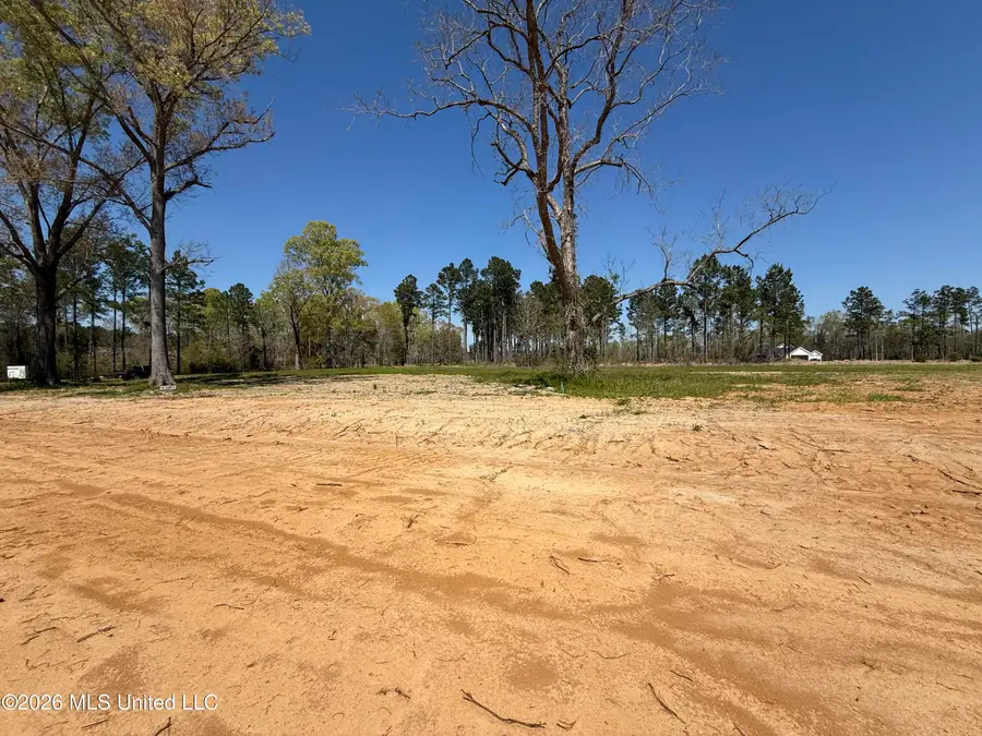Lot 1 Oakley Lane, Lucedale, MS 39452 - #3