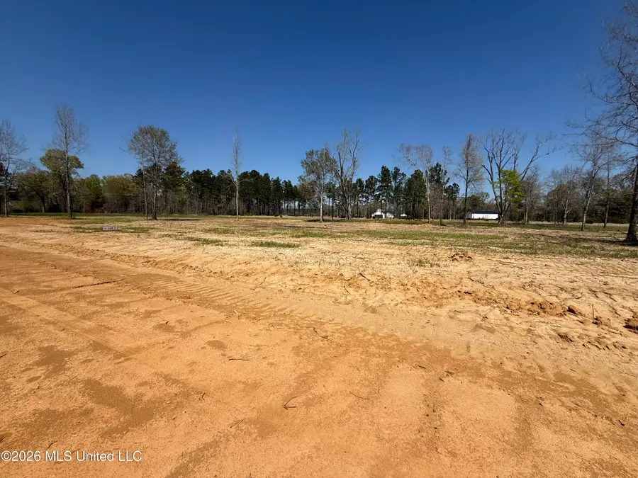 Lot 3 Oakley Lane, Lucedale, MS 39452 - #2