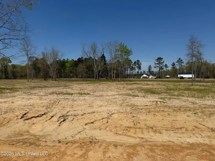 Lot 5 Oakley Lane, Lucedale, MS 39452 - #3