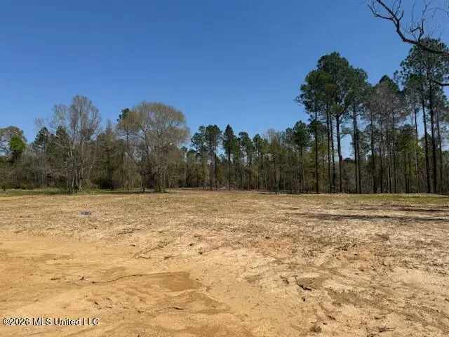 Lot 7 Oakley Lane, Lucedale, MS 39452 - #1