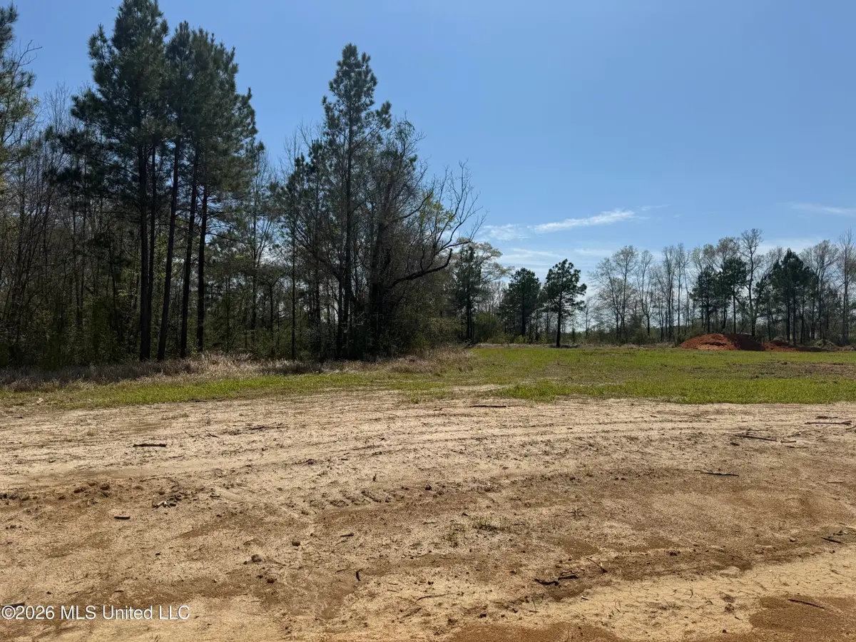 Lot 8 Oakley Lane, Lucedale, MS 39452 - #1