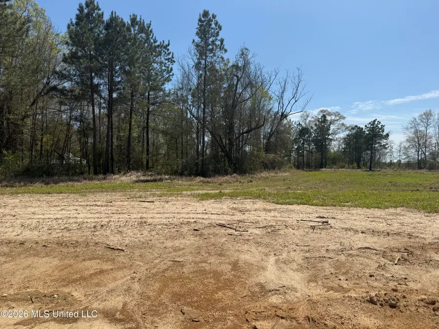 Lot 8 Oakley Lane, Lucedale, MS 39452 - #3