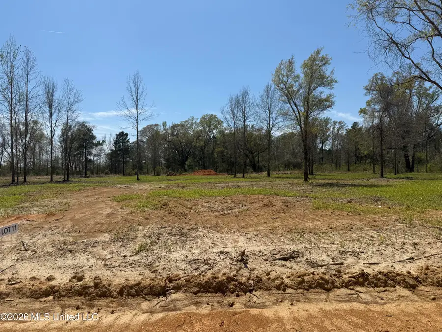 Lot 11 Oakley Lane, Lucedale, MS 39452 - #3