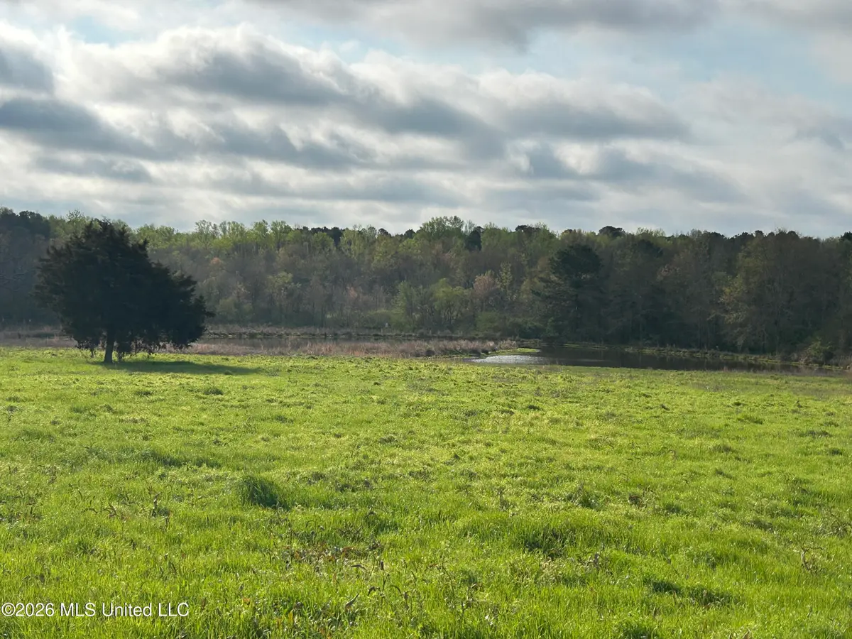 Neal Road, Forest, MS 39074 - #1