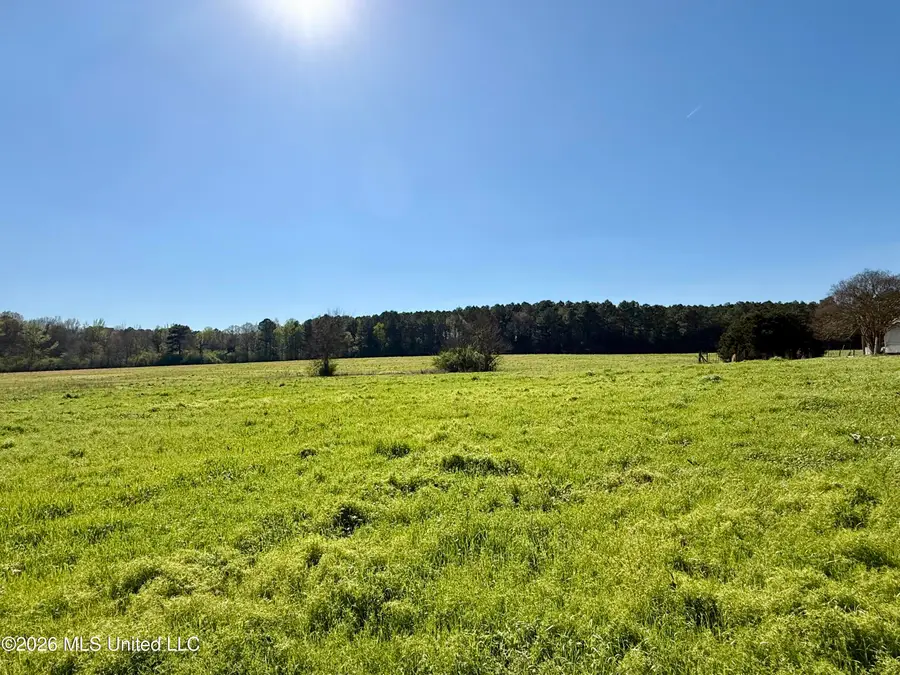 Neal Road, Forest, MS 39074 - #2