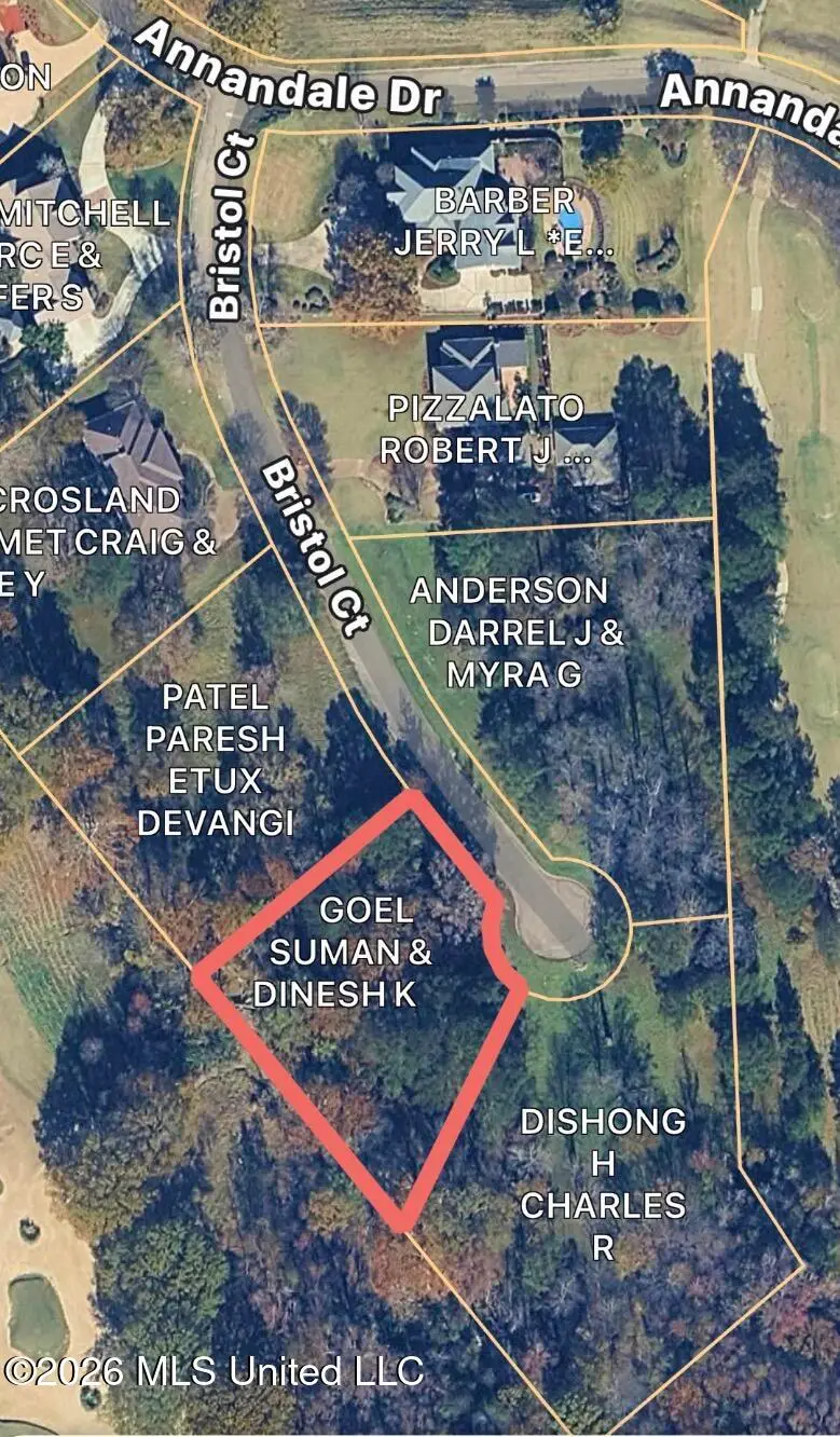 114 Bristol Court, Madison, MS 39110 - #1