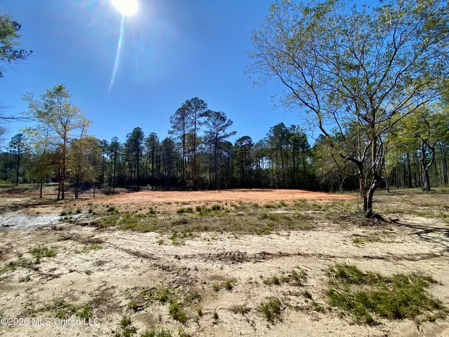 10 Monarch Circle, Carriere, MS 39426 - #3