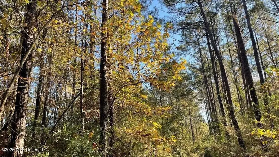 Delaware Avenue, McComb, MS 39648 - #2