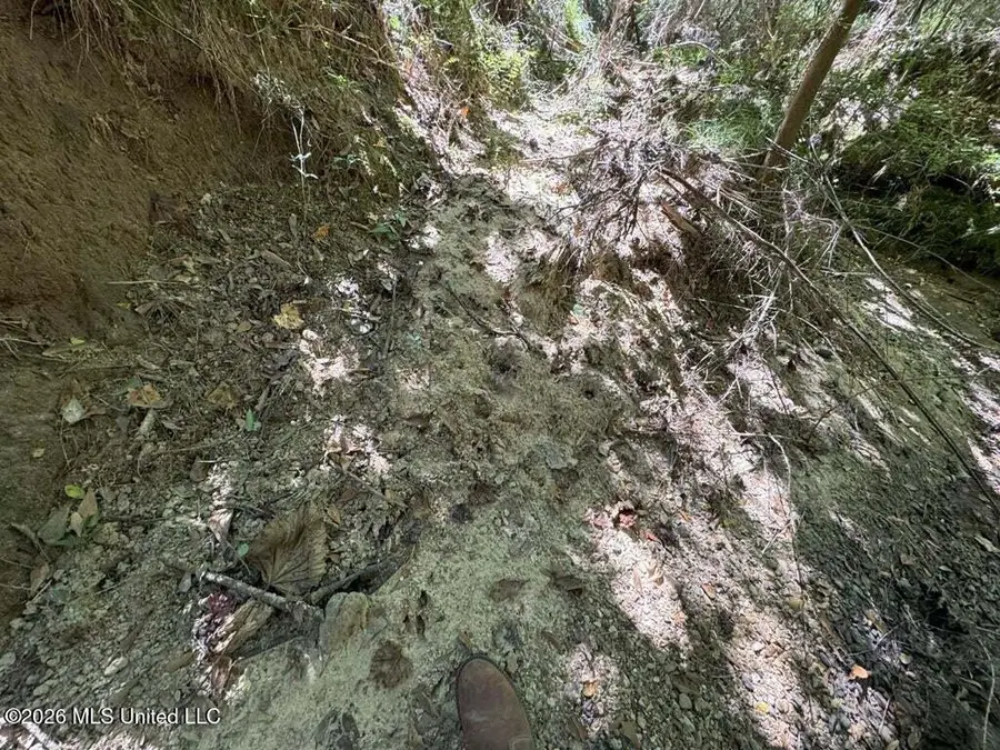 Delaware Avenue, McComb, MS 39648 - #3