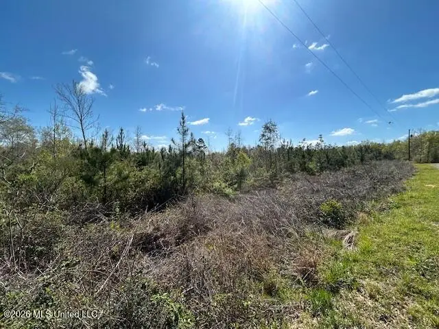 Austin Smith Road, Ruth, MS 39662 - #3