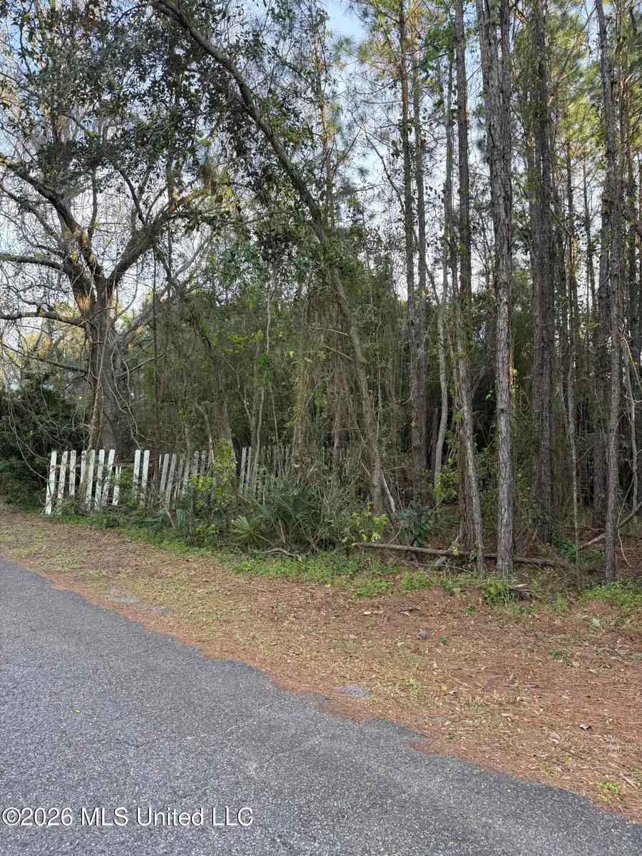 Stennis Street, Pass Christian, MS 39571 - #2