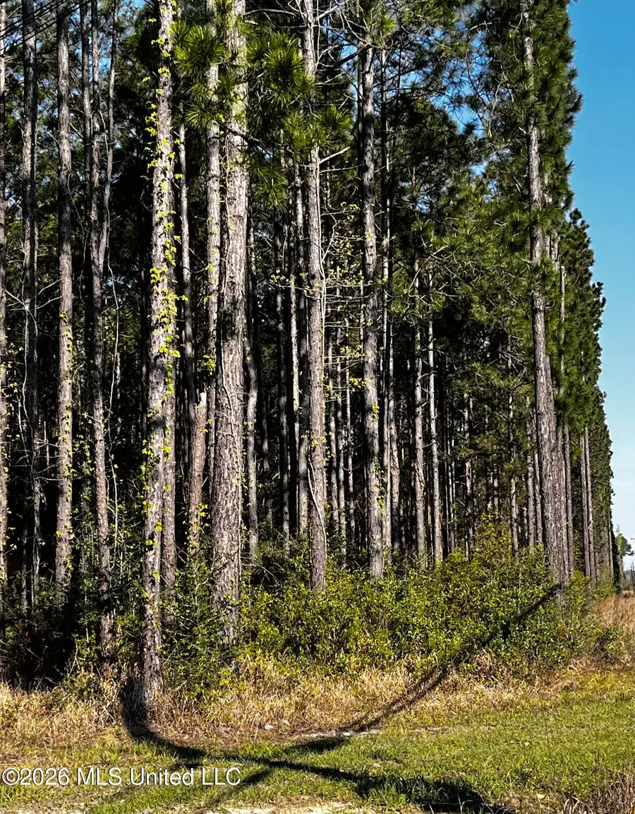 00 Gavin Hamilton Rd, Moss Point, MS 39562 - #3