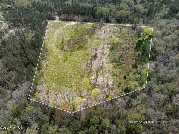 0 Scruggs Road, Sumrall, MS 39482