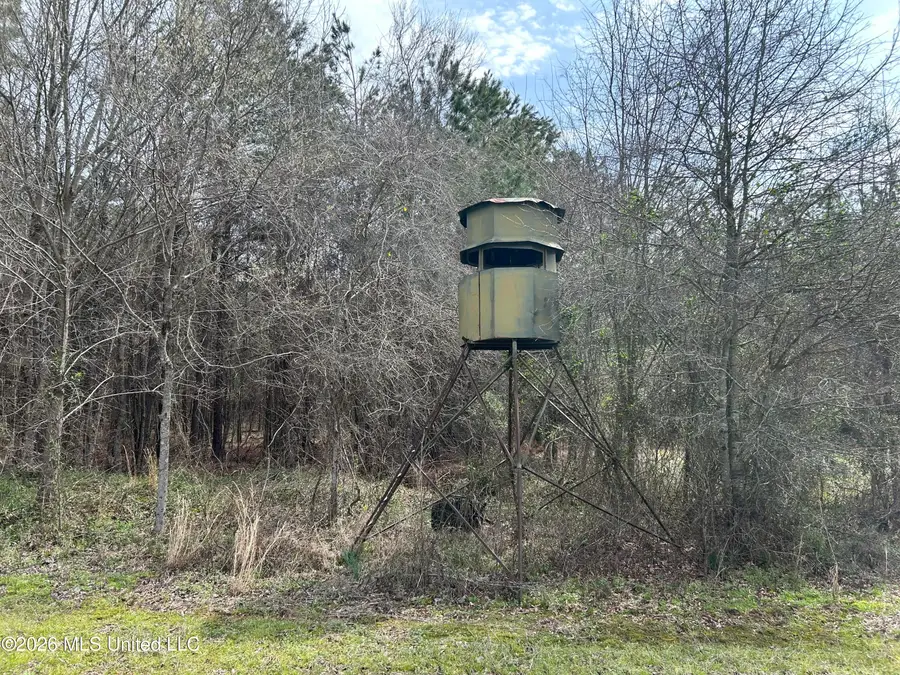 Robinson-thompson Road, Winona, MS 38967 - #2