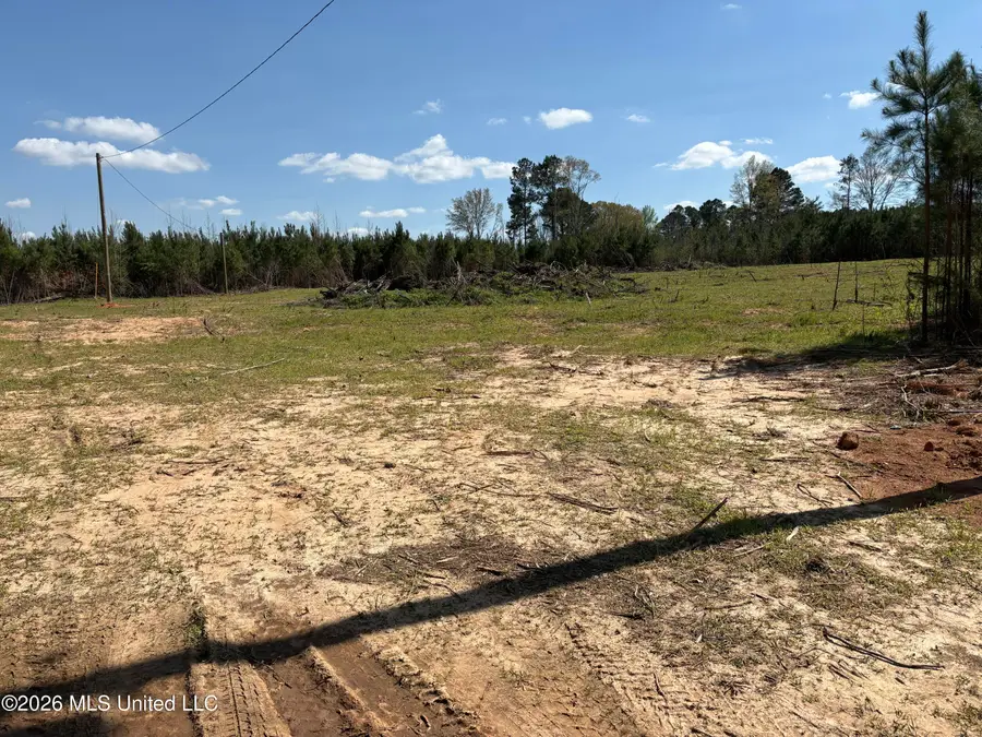Dry Creek Road, Magee, MS 39111 - #2