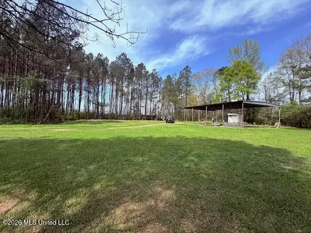 143 New River Road, Tylertown, MS 39667 - #1