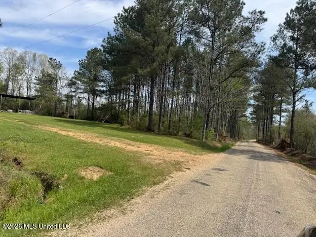 143 New River Road, Tylertown, MS 39667 - #3