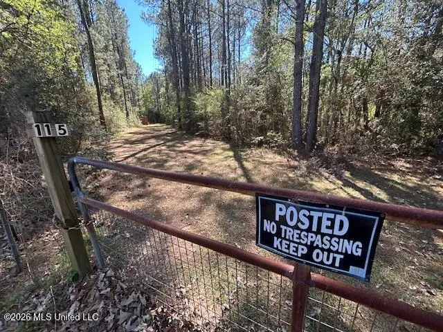 115 Ryans Road, Tylertown, MS 39667 - #1