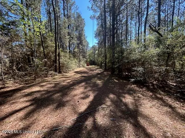 115 Ryans Road, Tylertown, MS 39667 - #2