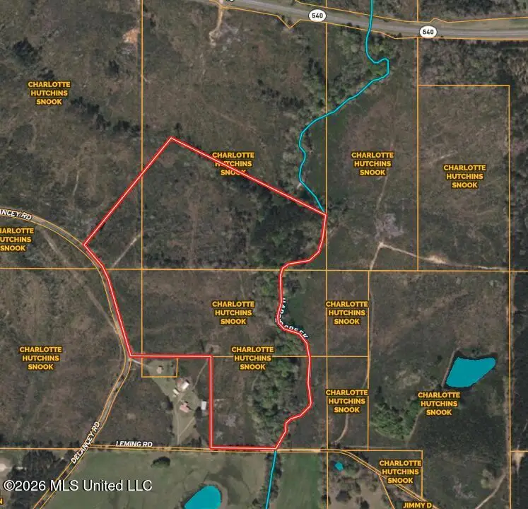 0 Delancey Road, Braxton, MS 39044 - #1