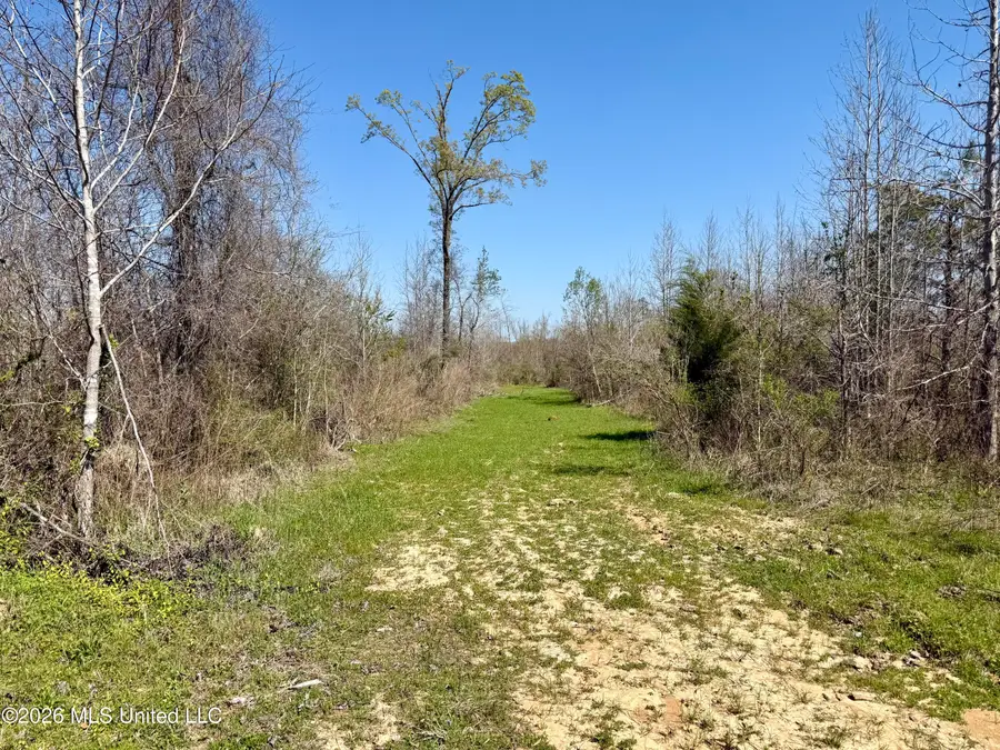 Brozville Road, Lexington, MS 39095 - #3