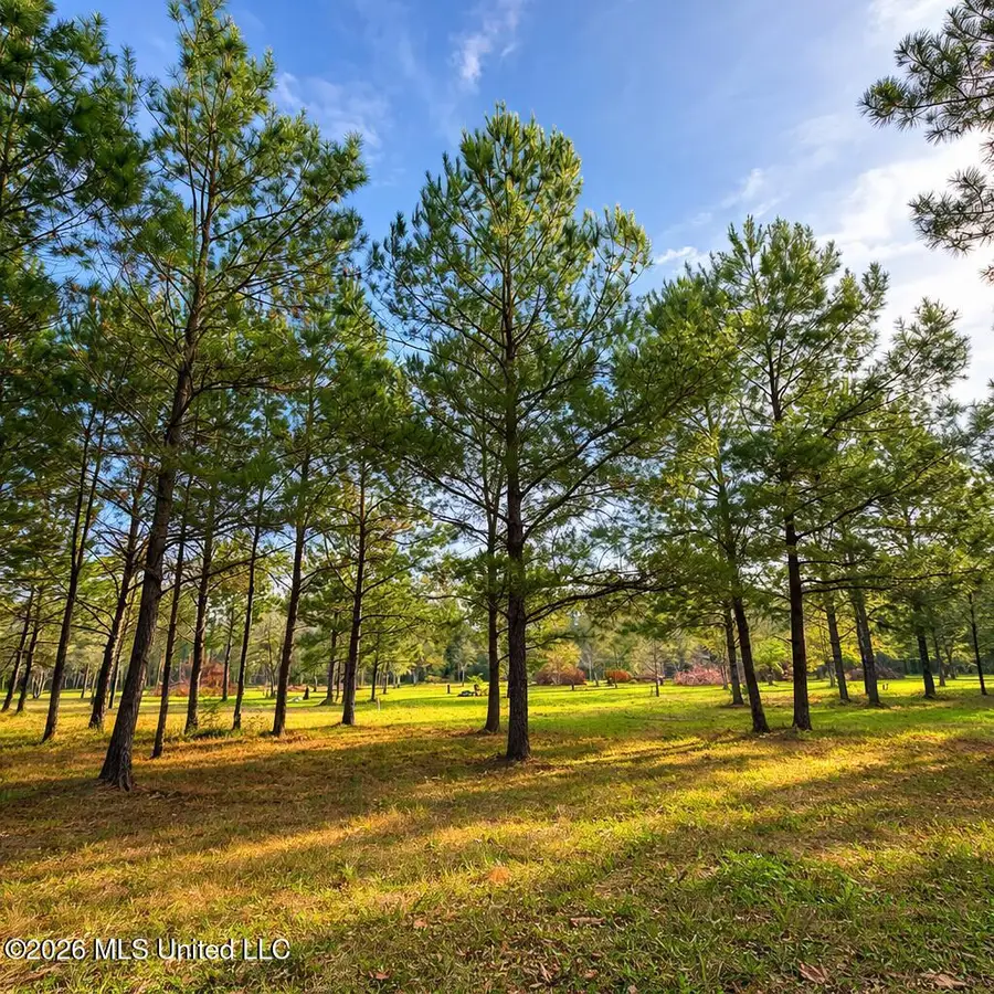 14 Acres F Z Goss Road, Picayune, MS 39466 - #3
