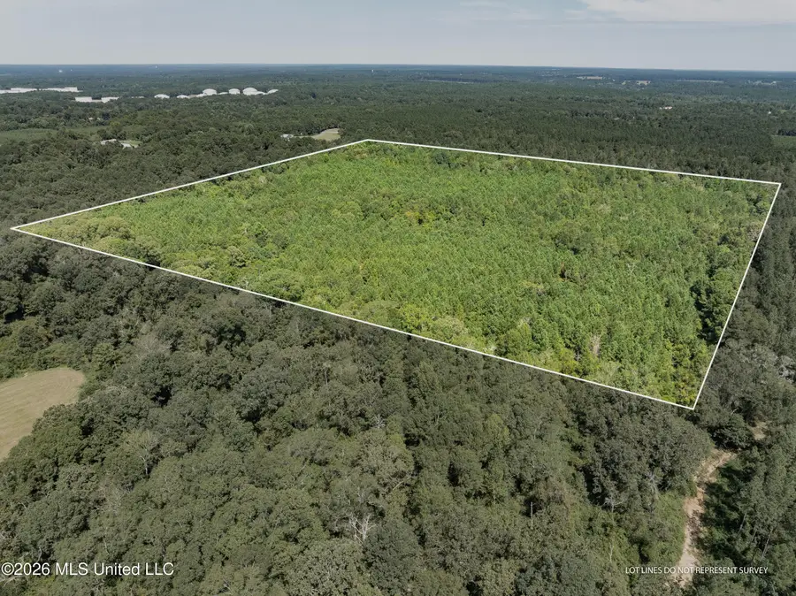 40 Acres Hwy 588, Collins, MS 39428 - #2