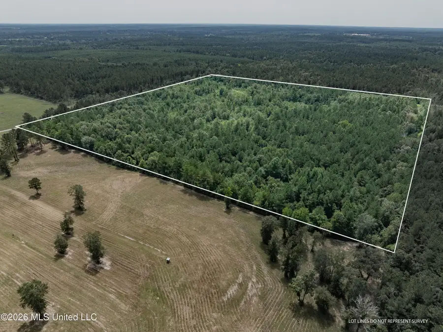 40 Acres Son's Lane, Mount Olive, MS 39119 - #2