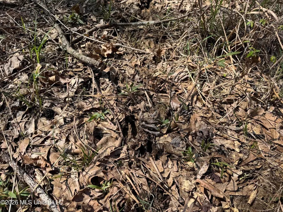 0 N Circle Road, Lexington, MS 39095 - #2