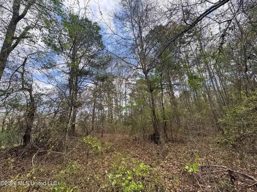 Stephens Road, Newton, MS 39345 - #3