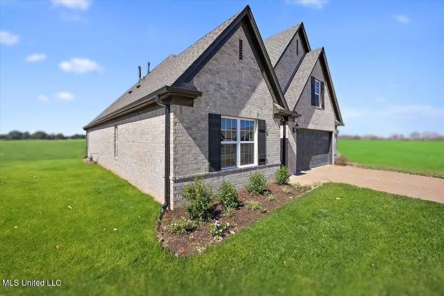 13820 Wesley Banks Boulevard, Olive Branch, MS 38654 - #2