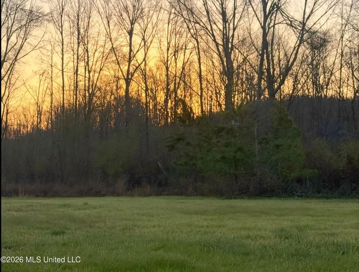 3114 County Road 212, Water Valley, MS 38965 - #1