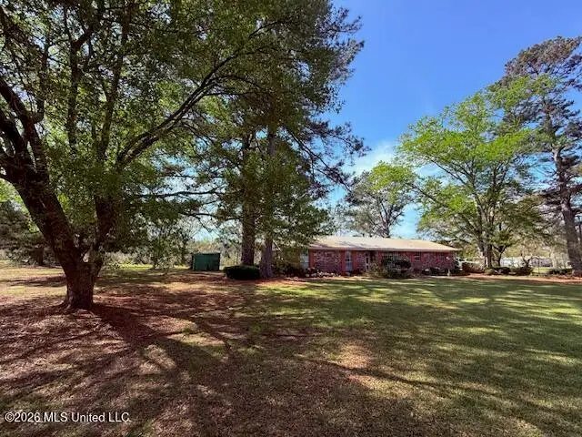 41 Tom Lewis Road, Tylertown, MS 39667 - #1