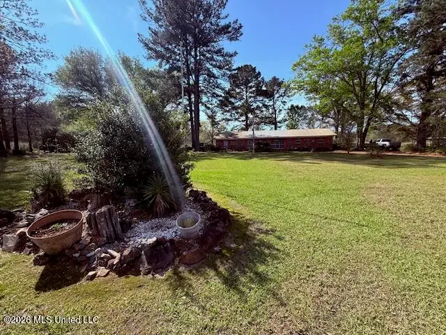 41 Tom Lewis Road, Tylertown, MS 39667 - #3