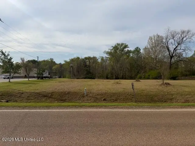 402 Second Street, Pelahatchie, MS 39145 - #1