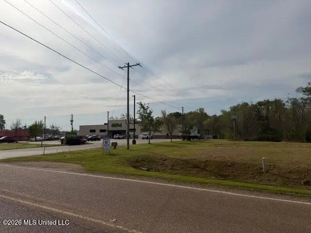 402 Second Street, Pelahatchie, MS 39145 - #3
