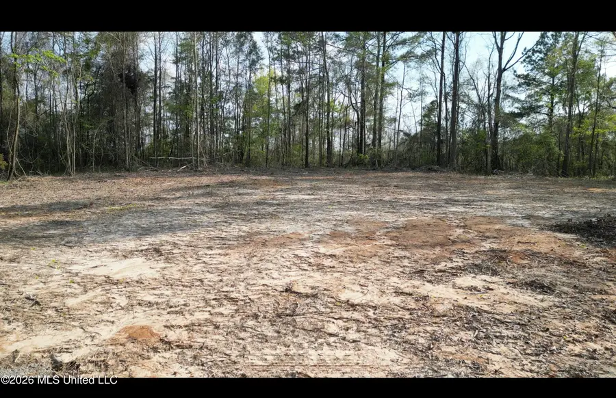 1961 Alton Graham Road, Conehatta, MS 39057 - #3